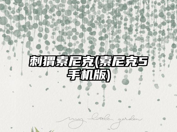 刺猬索尼克(索尼克5手机版)