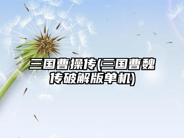 三国曹操传(三国曹魏传破解版单机)