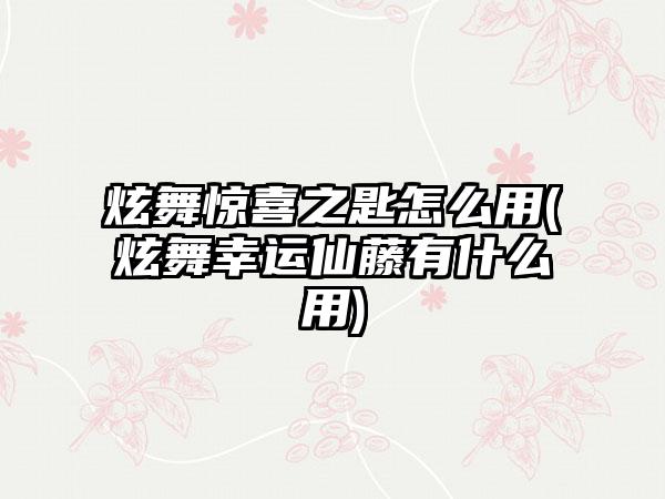 炫舞惊喜之匙怎么用(炫舞幸运仙藤有什么用)