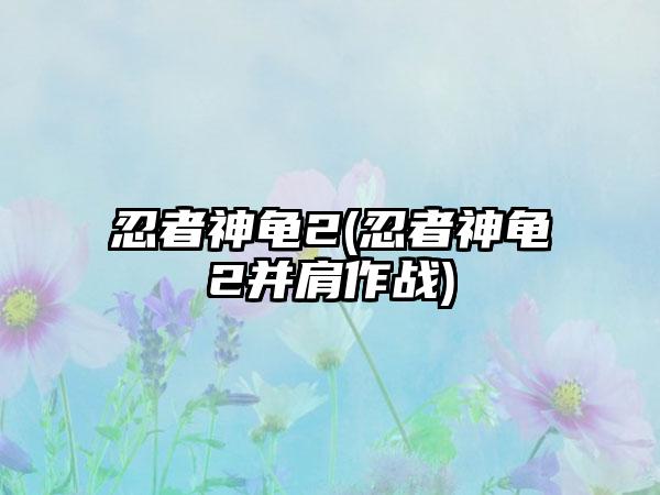 忍者神龟2(忍者神龟2并肩作战)