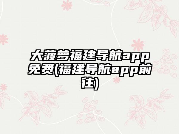 大菠萝福建导航app免费(福建导航app前往)