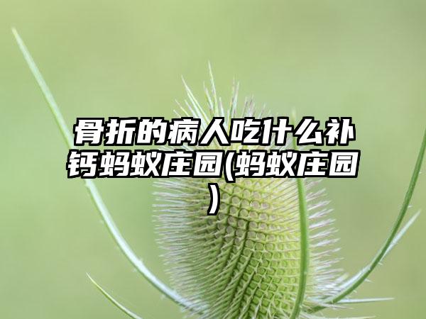 骨折的病人吃什么补钙蚂蚁庄园(蚂蚁庄园)