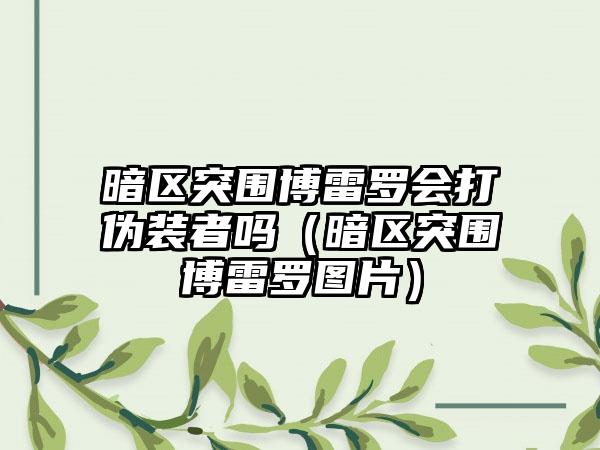 暗区突围博雷罗会打伪装者吗（暗区突围博雷罗图片）