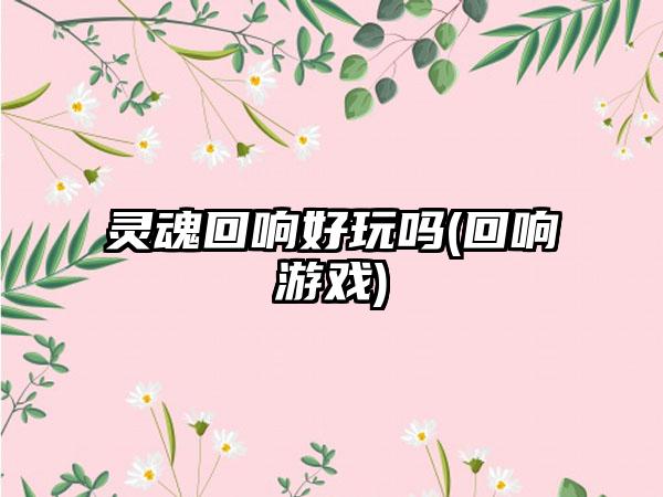 灵魂回响好玩吗(回响游戏)