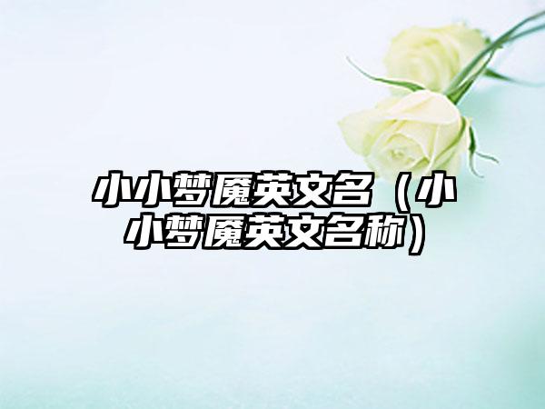 小小梦魇英文名（小小梦魇英文名称）