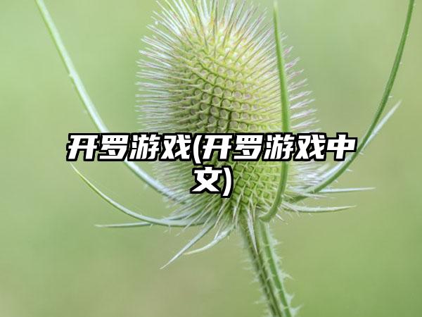开罗游戏(开罗游戏中文)