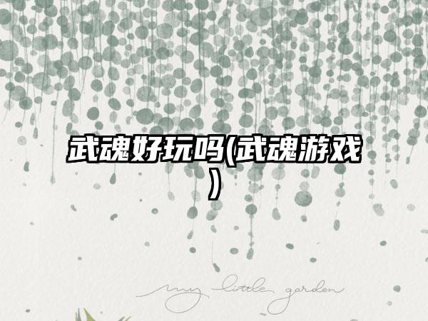 武魂好玩吗(武魂游戏)