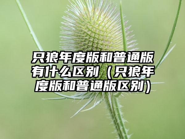 只狼年度版和普通版有什么区别（只狼年度版和普通版区别）