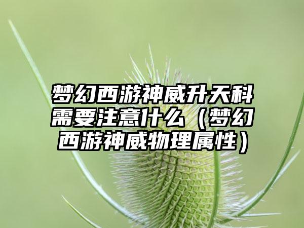 梦幻西游神威升天科需要注意什么（梦幻西游神威物理属性）