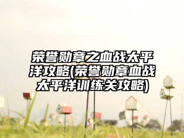 荣誉勋章之血战太平洋攻略(荣誉勋章血战太平洋训练关攻略)