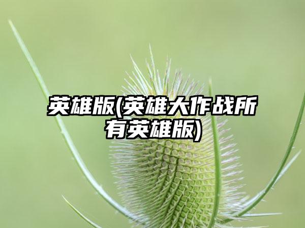 英雄版(英雄大作战所有英雄版)