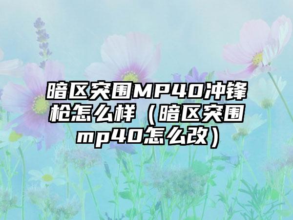 暗区突围MP40冲锋枪怎么样（暗区突围mp40怎么改）