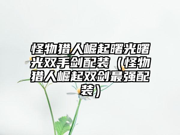 怪物猎人崛起曙光曙光双手剑配装（怪物猎人崛起双剑最强配装）