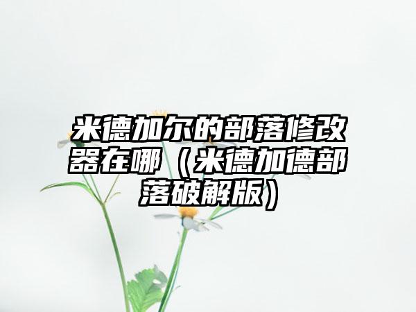 米德加尔的部落修改器在哪（米德加德部落破解版）