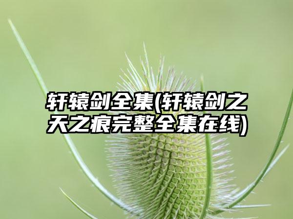 轩辕剑全集(轩辕剑之天之痕完整全集在线)