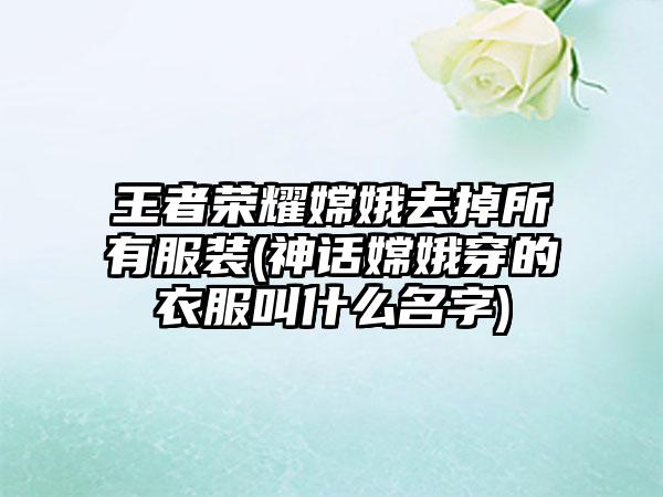 王者荣耀嫦娥去掉所有服装(神话嫦娥穿的衣服叫什么名字)
