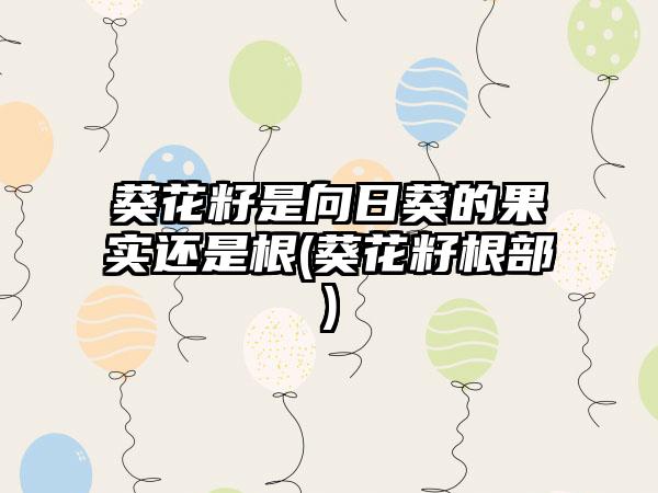 葵花籽是向日葵的果实还是根(葵花籽根部)