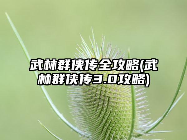 武林群侠传全攻略(武林群侠传3.0攻略)