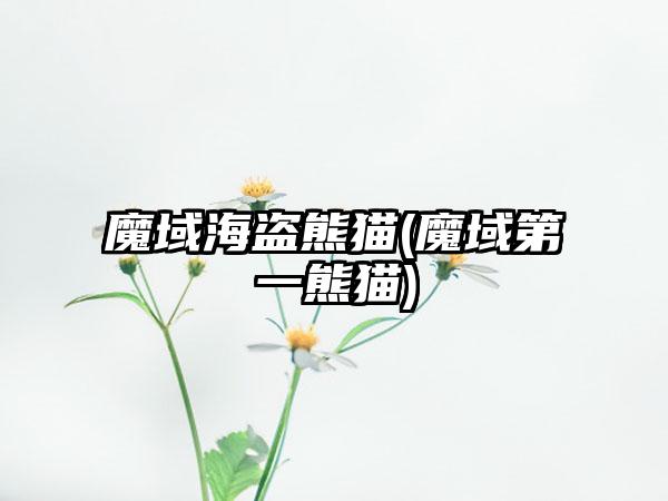 魔域海盗熊猫(魔域第一熊猫)