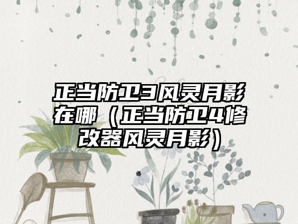 正当防卫3风灵月影在哪（正当防卫4修改器风灵月影）