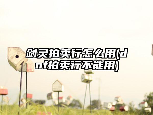 剑灵拍卖行怎么用(dnf拍卖行不能用)