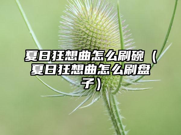 夏日狂想曲怎么刷碗（夏日狂想曲怎么刷盘子）