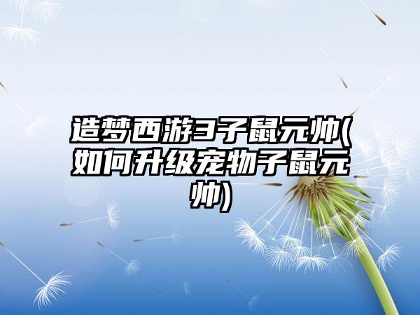 造梦西游3子鼠元帅(如何升级宠物子鼠元帅)