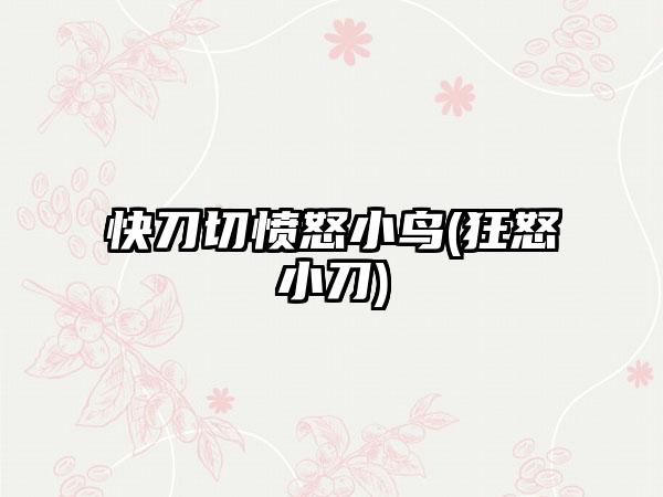 快刀切愤怒小鸟(狂怒小刀)