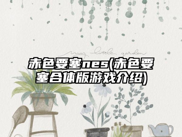 赤色要塞nes(赤色要塞合体版游戏介绍)