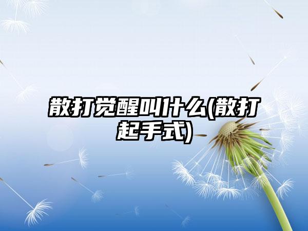 散打觉醒叫什么(散打起手式)