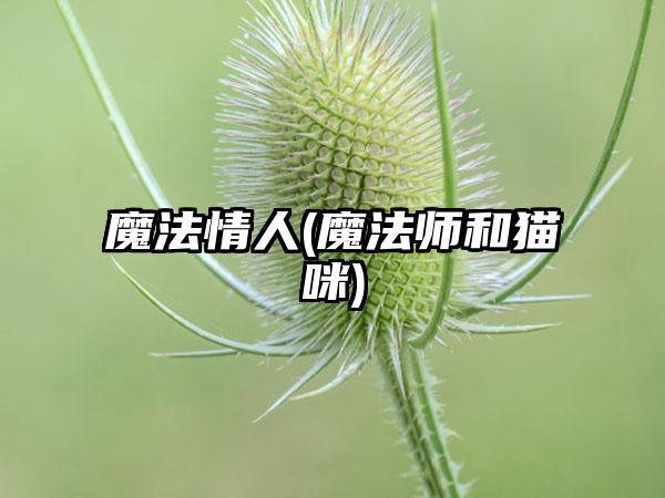 魔法情人(魔法师和猫咪)