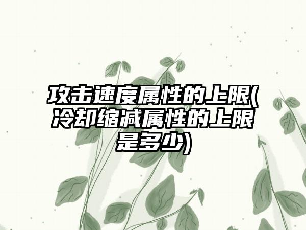 攻击速度属性的上限(冷却缩减属性的上限是多少)