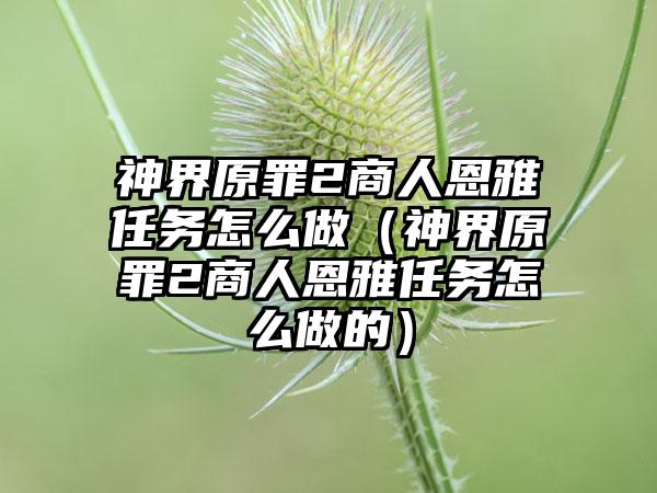 神界原罪2商人恩雅任务怎么做（神界原罪2商人恩雅任务怎么做的）