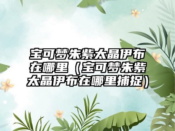 宝可梦朱紫太晶伊布在哪里（宝可梦朱紫太晶伊布在哪里捕捉）