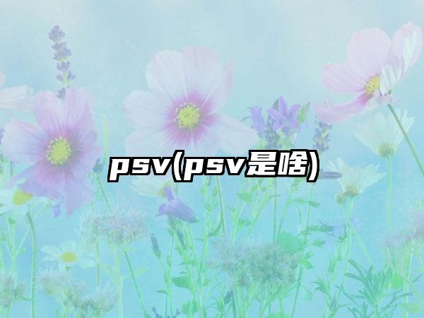 psv(psv是啥)