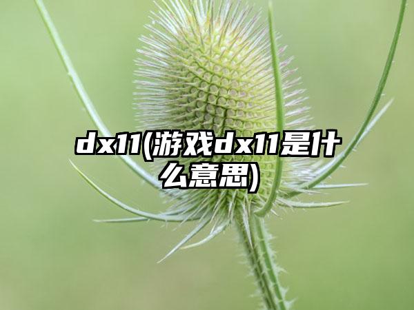 dx11(游戏dx11是什么意思)