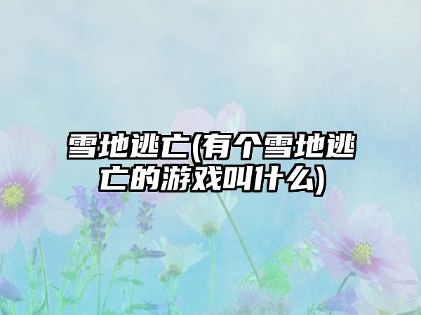 雪地逃亡(有个雪地逃亡的游戏叫什么)