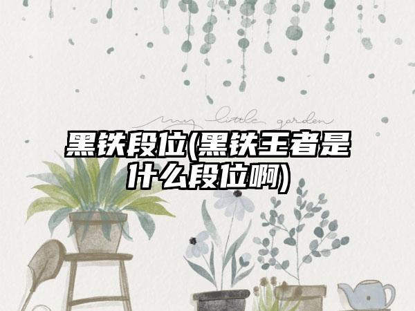 黑铁段位(黑铁王者是什么段位啊)