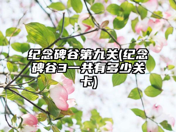 纪念碑谷第九关(纪念碑谷3一共有多少关卡)