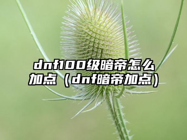 dnf100级暗帝怎么加点（dnf暗帝加点）
