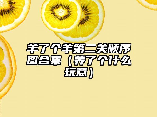 羊了个羊第二关顺序图合集（养了个什么玩意）