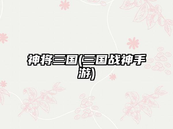 神将三国(三国战神手游)