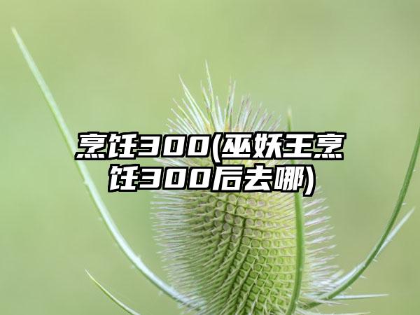 烹饪300(巫妖王烹饪300后去哪)