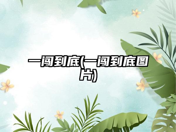 一闯到底(一闯到底图片)