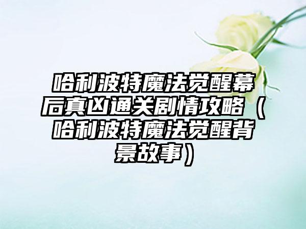 哈利波特魔法觉醒幕后真凶通关剧情攻略（哈利波特魔法觉醒背景故事）