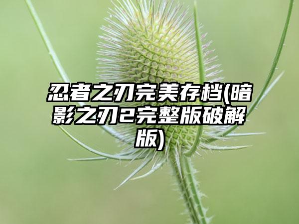 忍者之刃完美存档(暗影之刃2完整版破解版)