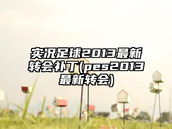 实况足球2013最新转会补丁(pes2013最新转会)