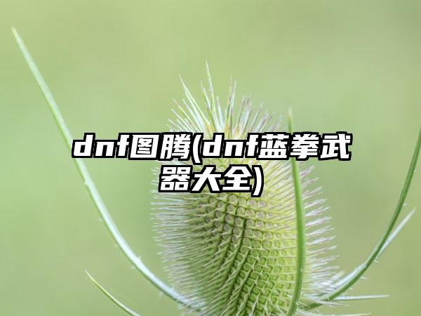 dnf图腾(dnf蓝拳武器大全)
