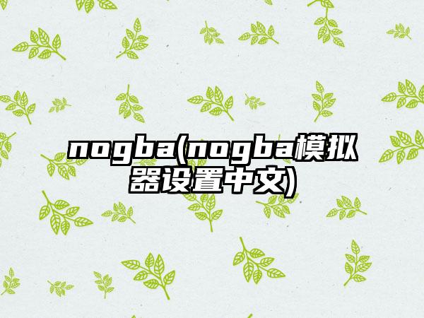 nogba(nogba模拟器设置中文)