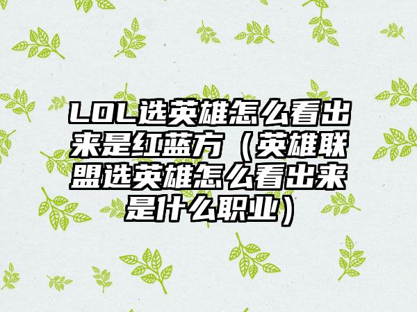 LOL选英雄怎么看出来是红蓝方（英雄联盟选英雄怎么看出来是什么职业）